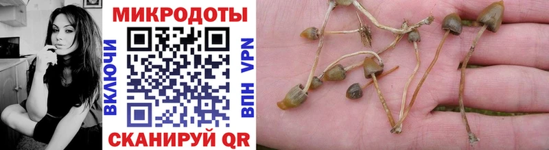 магазин Велиж Галлюциногенные грибы MAGIC MUSHROOMS